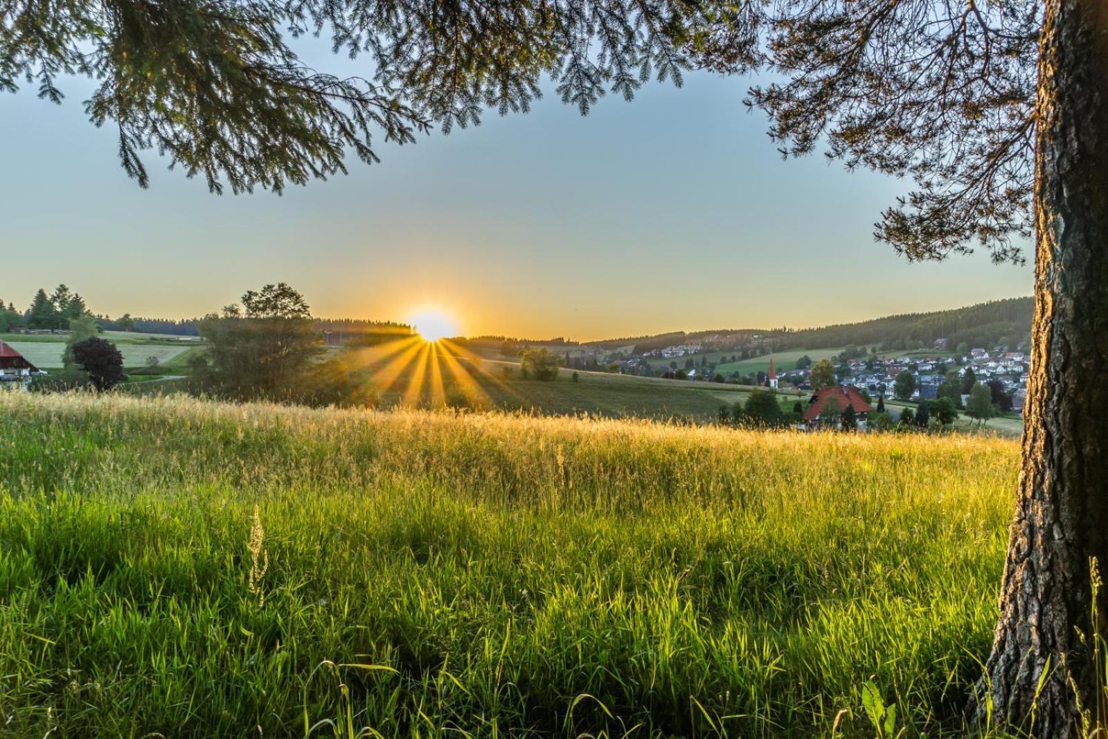 Landhaus Panoramablick Schonach im Schwarzwald Bagian luar foto