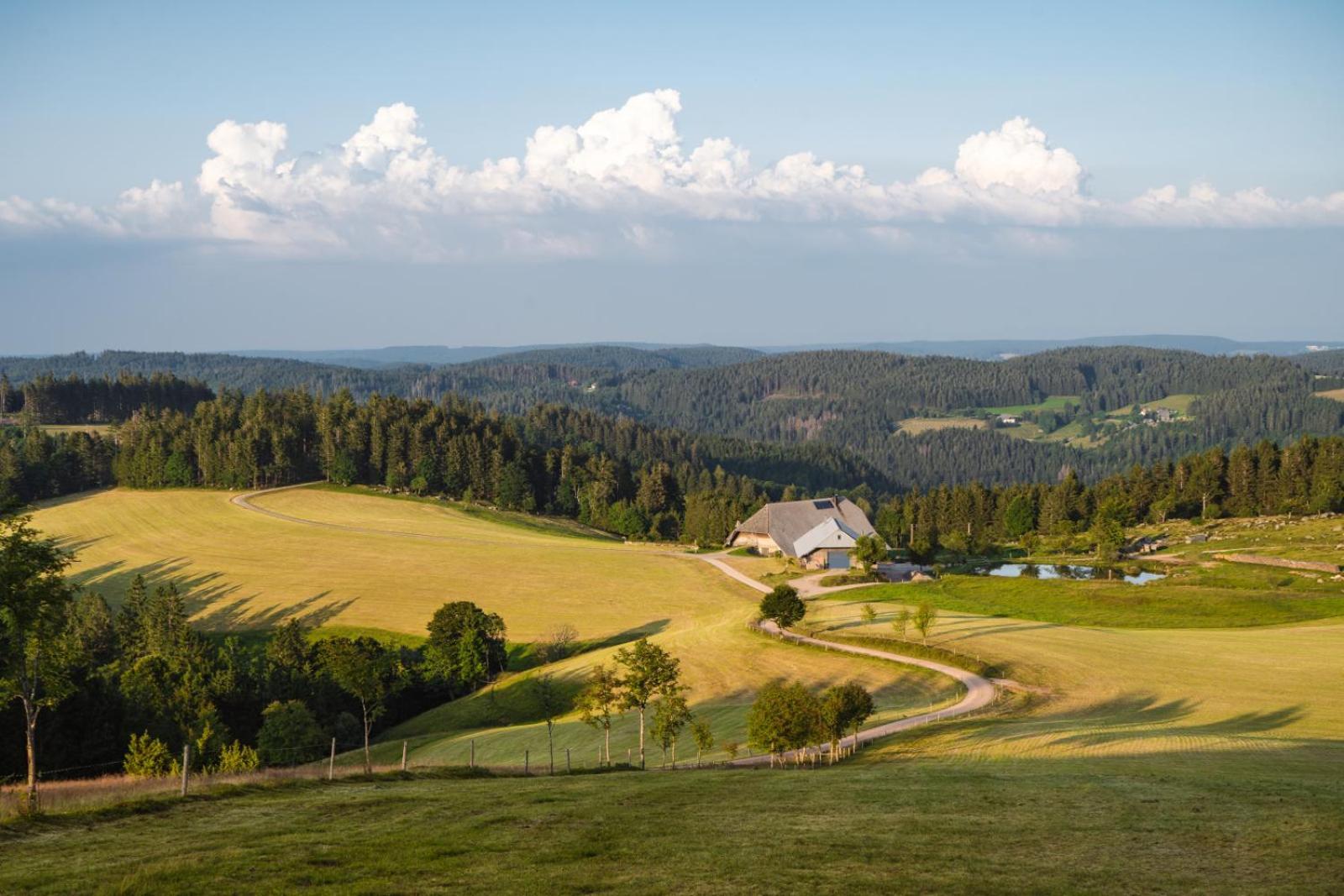 Landhaus Panoramablick Schonach im Schwarzwald Bagian luar foto