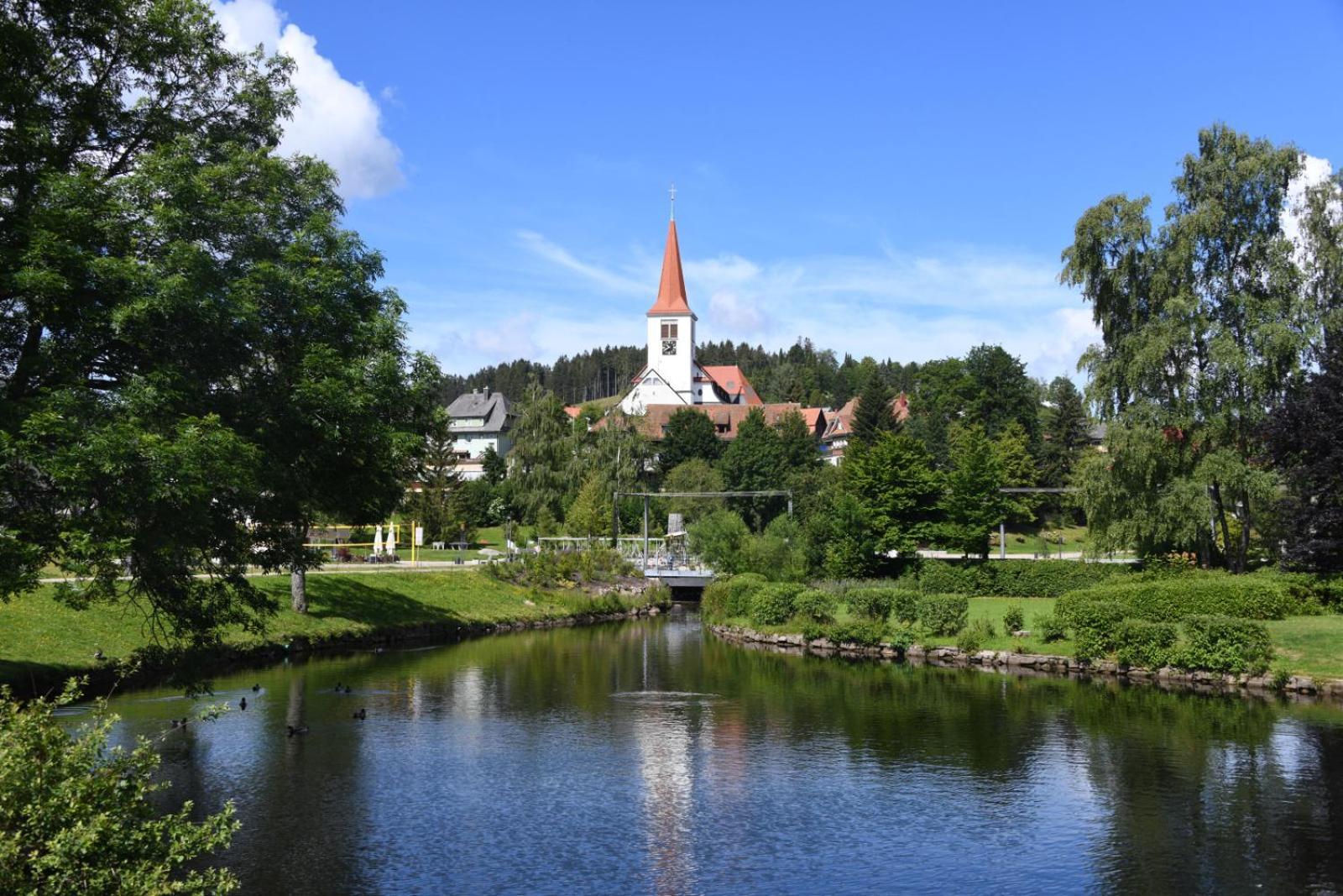 Landhaus Panoramablick Schonach im Schwarzwald Bagian luar foto