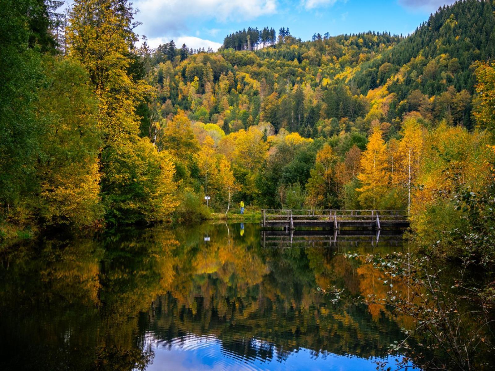 Landhaus Panoramablick Schonach im Schwarzwald Bagian luar foto