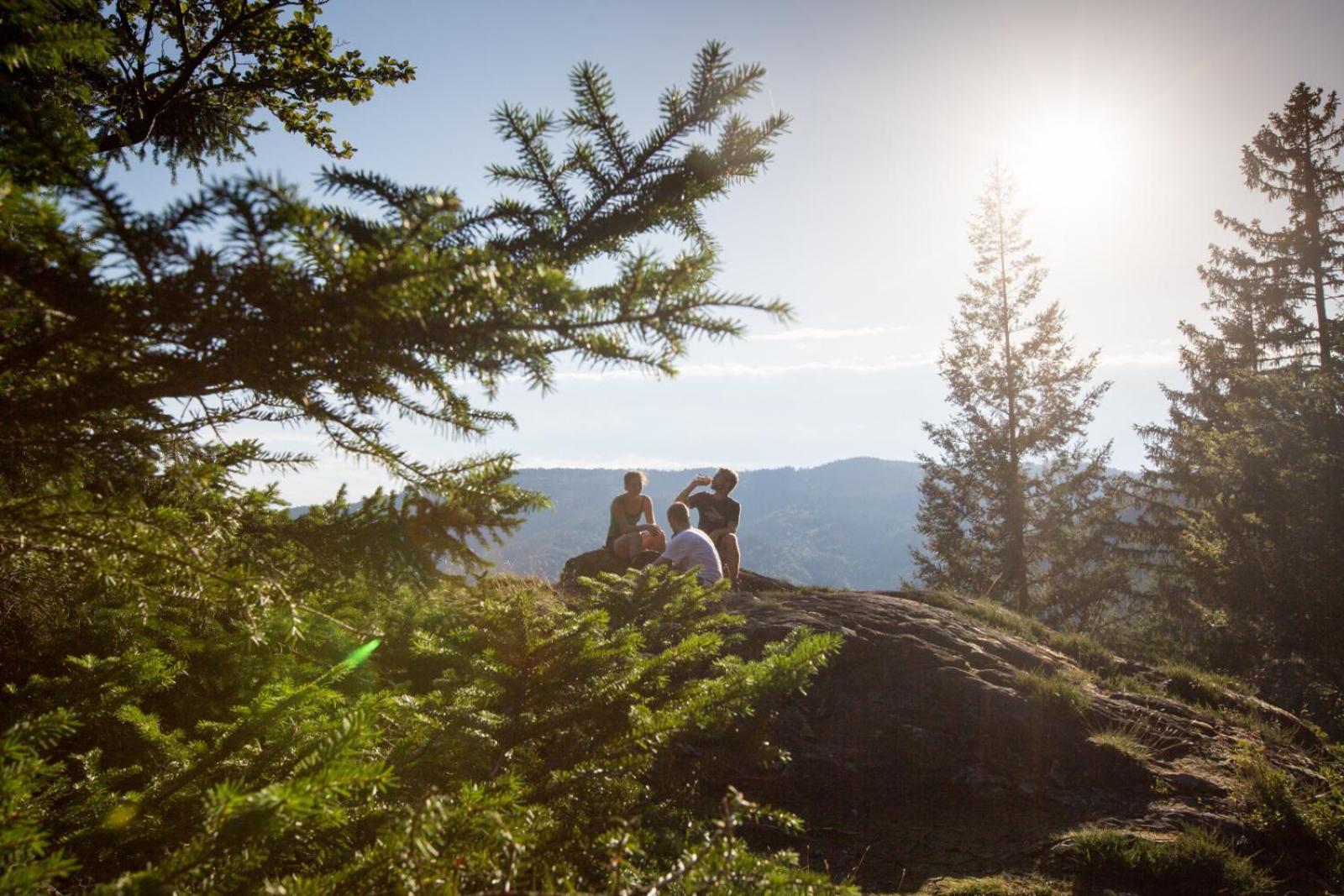 Landhaus Panoramablick Schonach im Schwarzwald Bagian luar foto