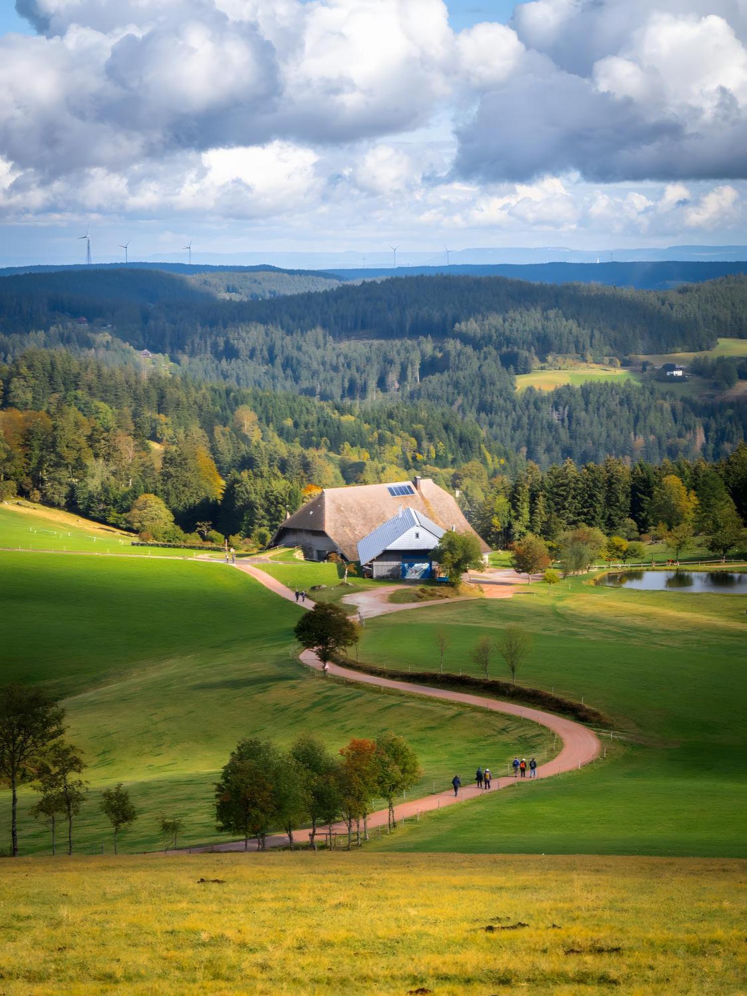 Landhaus Panoramablick Schonach im Schwarzwald Bagian luar foto
